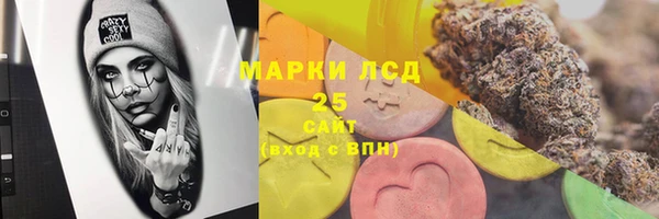PSILOCYBIN Аркадак