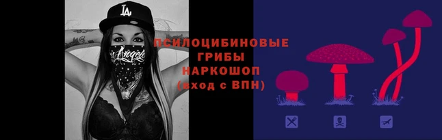 ГАЛЛЮЦИНОГЕННЫЕ ГРИБЫ Арсеньев