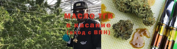 PSILOCYBIN Аркадак